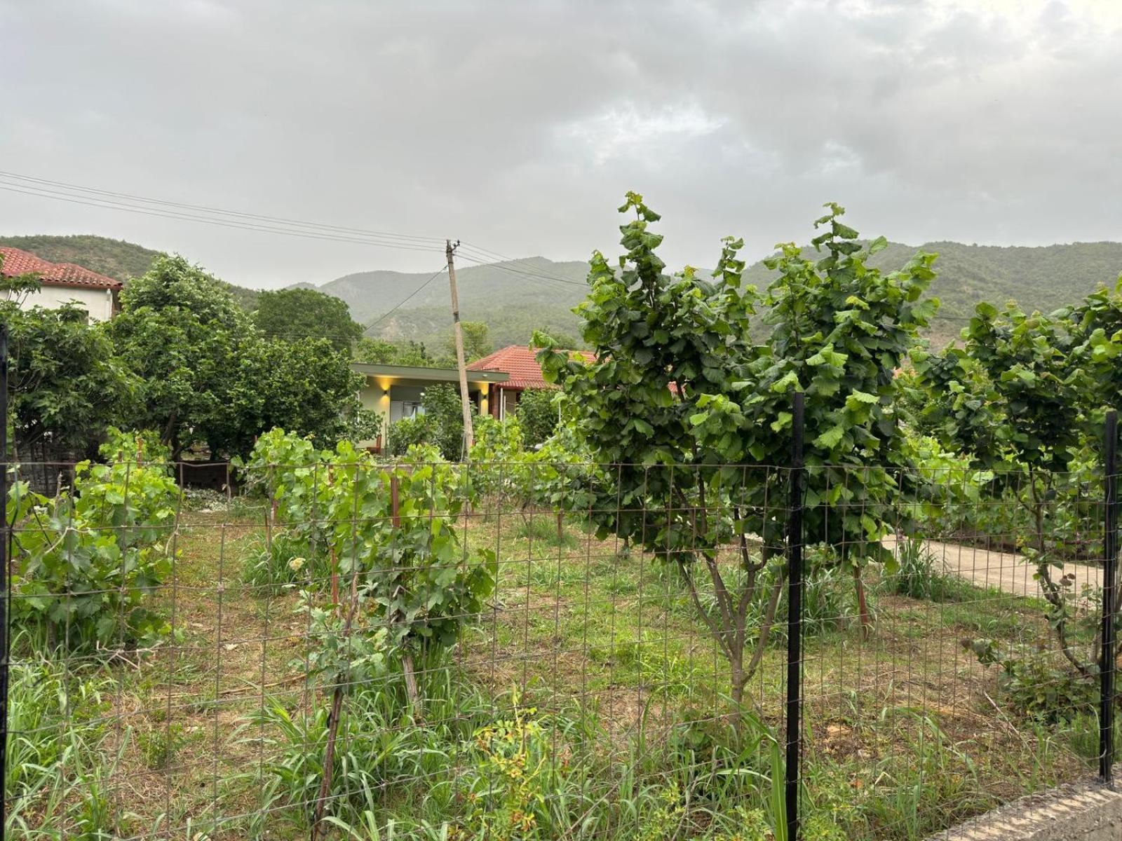 House Përmet